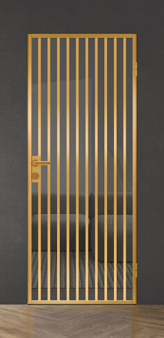 Межкомнатная дверь Спейс Апр 10 Gold - фото