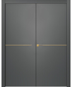 Межкомнатная дверь Avesta 1H Молдинг Золото Эмаль графит Двойная - фото