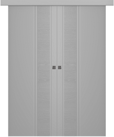 Межкомнатная дверь Твинвуд 1 Эмаль светло-серый Купе двойное - фото