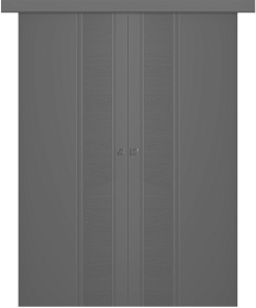 Межкомнатная дверь Твинвуд 1 Эмаль графит Купе двойное - фото