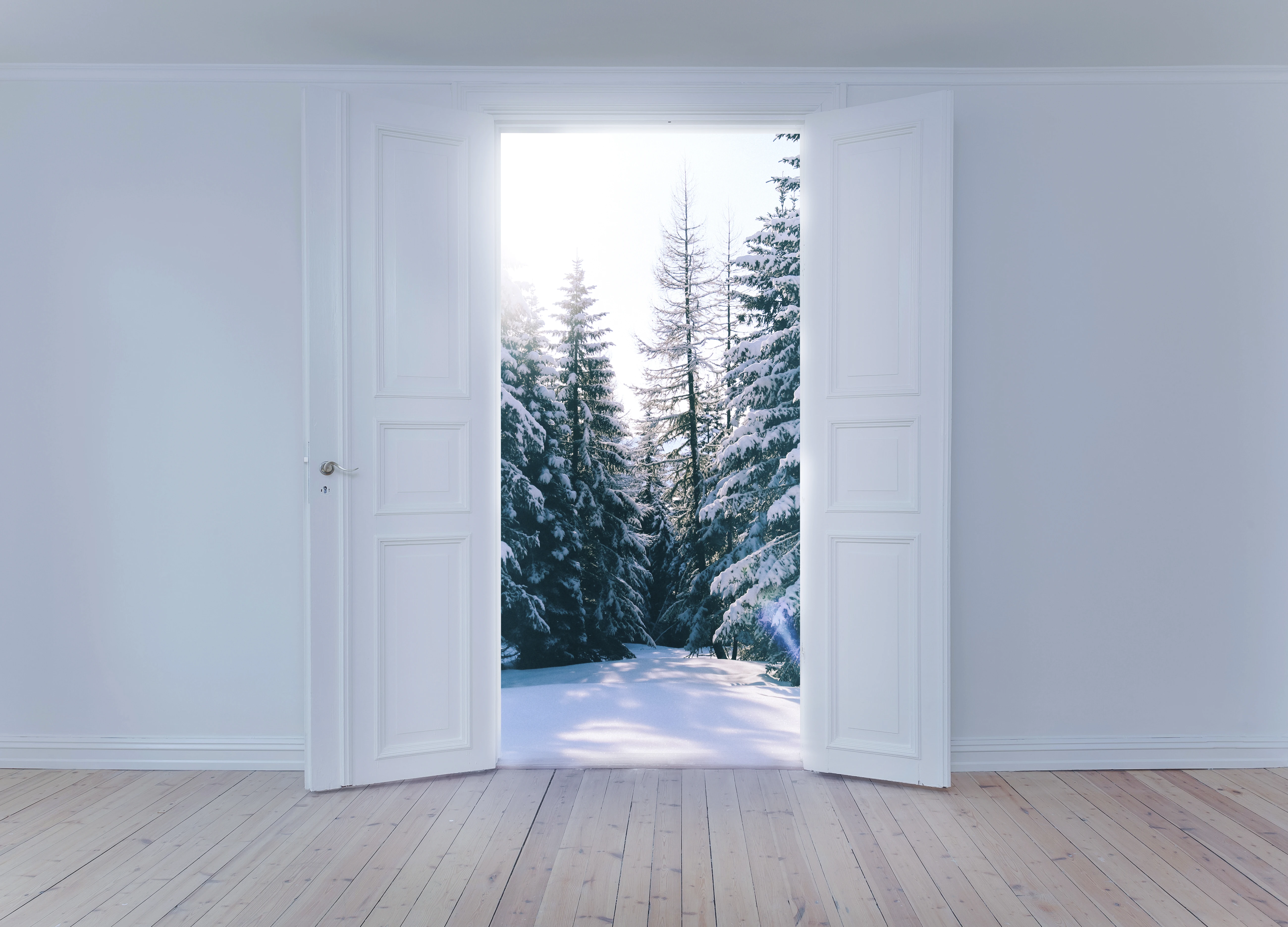 В какое время года лучше ставить входную дверь?